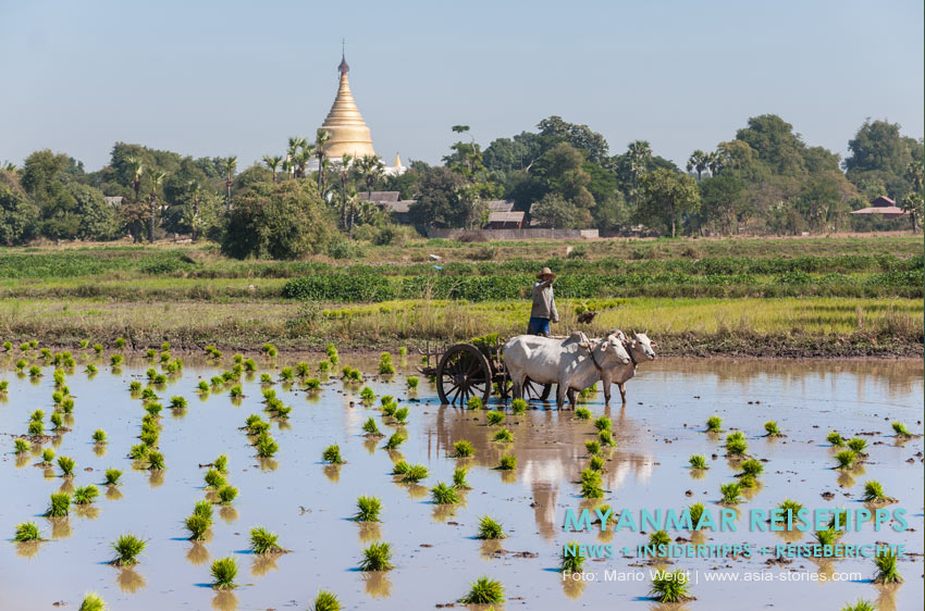 Myanmar Reisetipps | Umgebung von Mandalay | Inwa