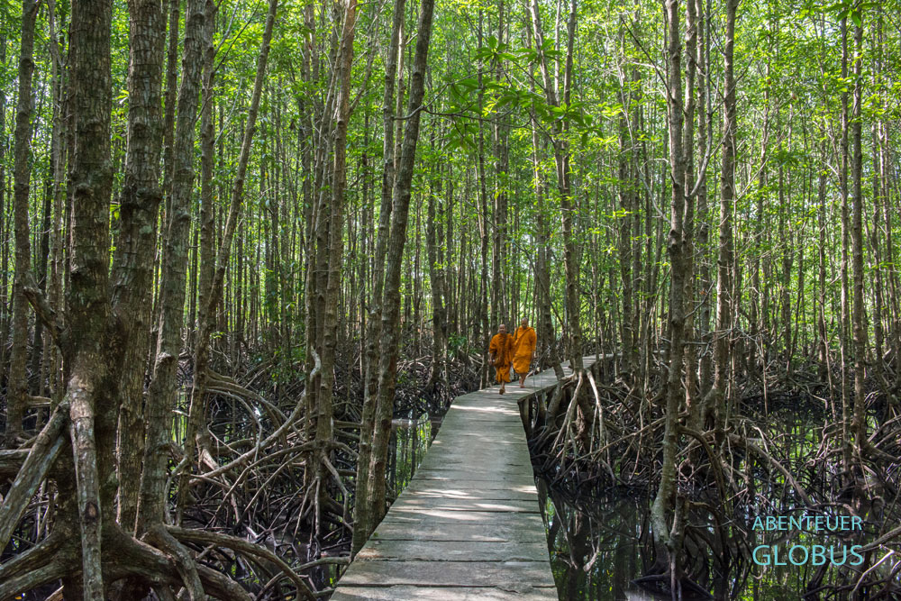 Kambodscha, Koh Kong: Peam Krasop Wildlife Sanctuary, Mangrovenwald mit Betonsteg