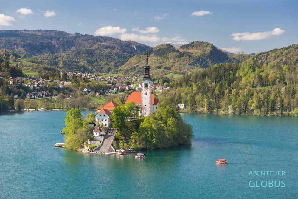 Bled in Slowenien: Traditionelle Holzboote Pletna steuern die Wallfahrtskirche Maria Himmelfahrt auf der Insel im Bleder See an.